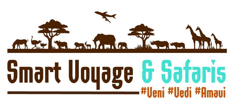 safari voyage blog